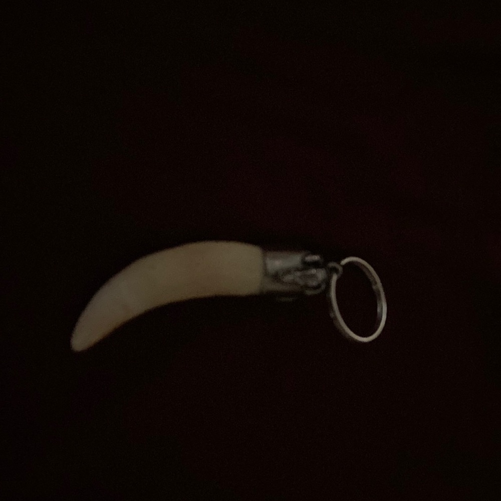 Authentic Gator Tooth Keychain